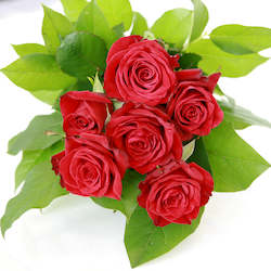 Florist: Valentines Day 6 Red Roses