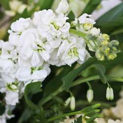 Florist: Bouquet - Sympathy