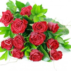 Florist: 12 Red Roses
