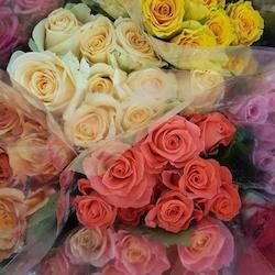 Ordering Flowers: Roses