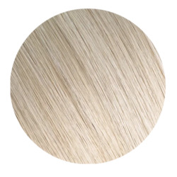 Light Ash Blonde #22 Clip In Hair Extensions