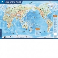 Wall Chart - Map of the World