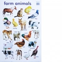 Wall Chart - Farm Animals
