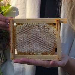 Honey manufacturing - blended: Plastic Free Comb Honey