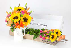 All: Bright Mixed Blooms (Florists Choice)