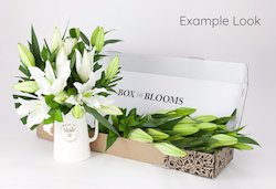 All: Straight Blooms (Florists Choice)