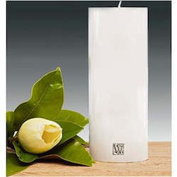 Internet only: 100 x 250mm Pillar Candle - white