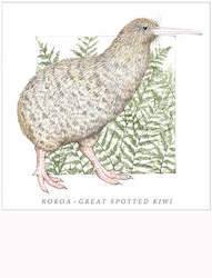 Birds of the Doubtful Valley - Roroa