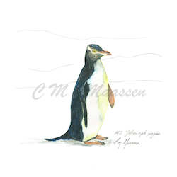 Yellow Eyed Penguin Print A4 / A3