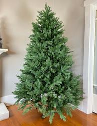 English Pine Christmas Tree (Instant Shape) PE - Pre-Order