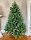 English Pine Christmas Tree (Instant Shape) PE - Pre-Order