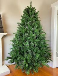 Douglas Fir Christmas Tree (Instant Shape) - Pre-Order