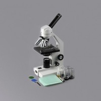 Microscope (1000X) and slide preparation kit