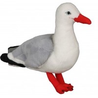 Adult, community, and other education: Red billed gull with sound (15cm)