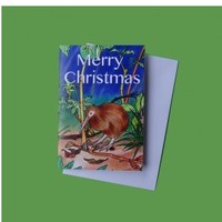 Christopher kiwi australian adventure christmas card