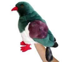 Kereru (new zealand wood pigeon)