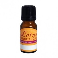 Adult, community, and other education: Rose damask absolute - 3%- 10ml