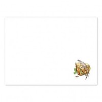 Adult, community, and other education: Skink envelopes (white)