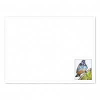 Adult, community, and other education: Tui envelopes (white)