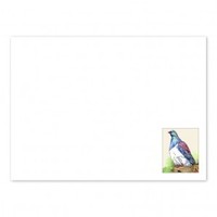 Adult, community, and other education: New zealand wood pigeon envelopes (white)