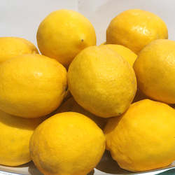 Organic Meyer Lemons