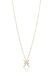 The Star Sign Necklace: Pisces