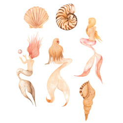Magical Mermaid and Shell Set