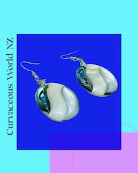 Oval Mother of Pearl Paua earrings