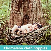 Products: Cloth Nappies - Chameleon