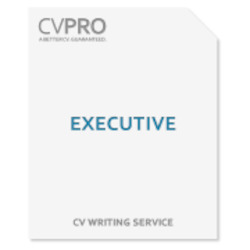 Executive - CV Writing Service