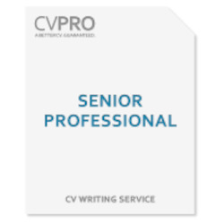 Cv Writing Services: Senior Professional - CV Writing Service