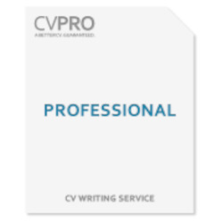 Professional - CV Writing Service