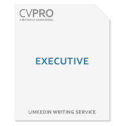 Executive - LinkedIn Profile Writing Service