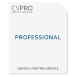 Professional - LinkedIn Profile Writing Service