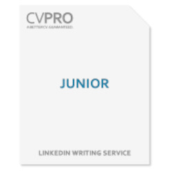 Junior - LinkedIn Profile Writing Service
