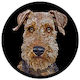 Doggieology Art - Airedale Terrier