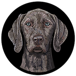 Creative art: Doggieology Art - Weimarana