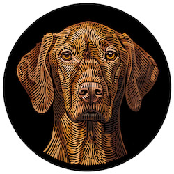 Doggieology Art - Vizsla