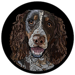 Creative art: Doggieology Art - Springer Spaniel