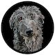 Doggieology Art - Deerhound