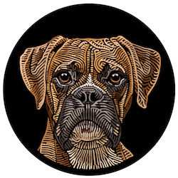 Doggieology Art - Boxer