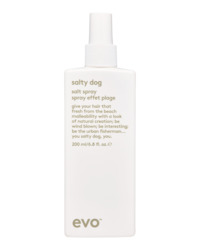 Best Selling: Evo Salty Dog Salt Spray 200ml