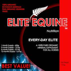 Frontpage: EVERY-DAY ELITE