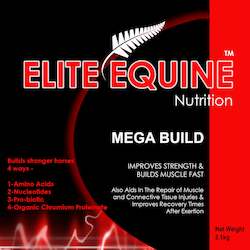 Health supplement: MEGA BUILD