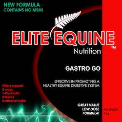 Health supplement: GASTRO GO