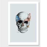 Moth skull art print by olivia bezett