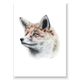 Fox art print by olivia bezett