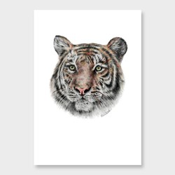 Tiger art print by olivia bezett