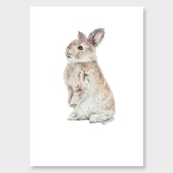 Floral bunny art print by olivia bezett