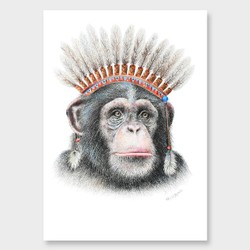 Products: Chief chimp art print by olivia bezett